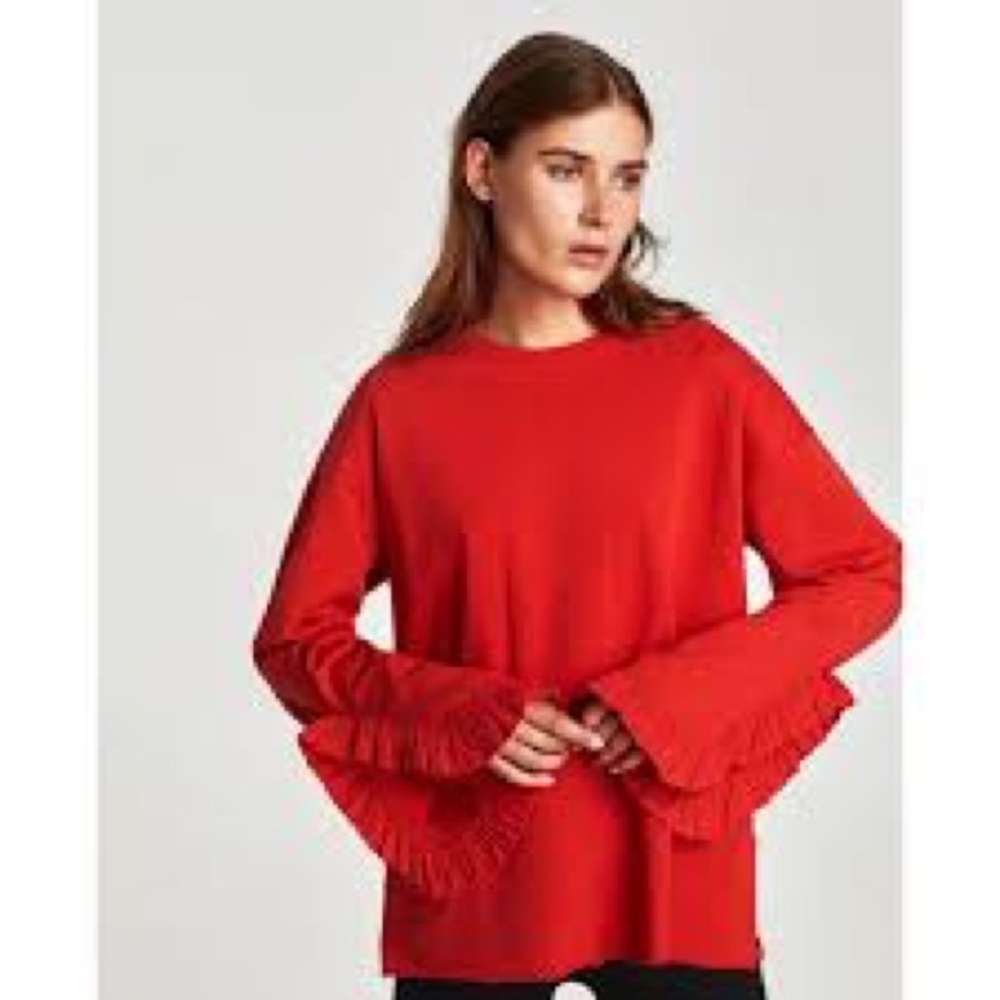 ZARA KNIT TOP WITH RUFFLE SLEEVES